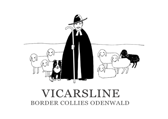 Vicarsline - Die Border Collie Zucht im Odenwald