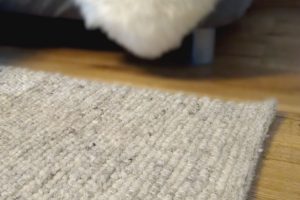 Vicarsline | Teppich aus Schafwolle